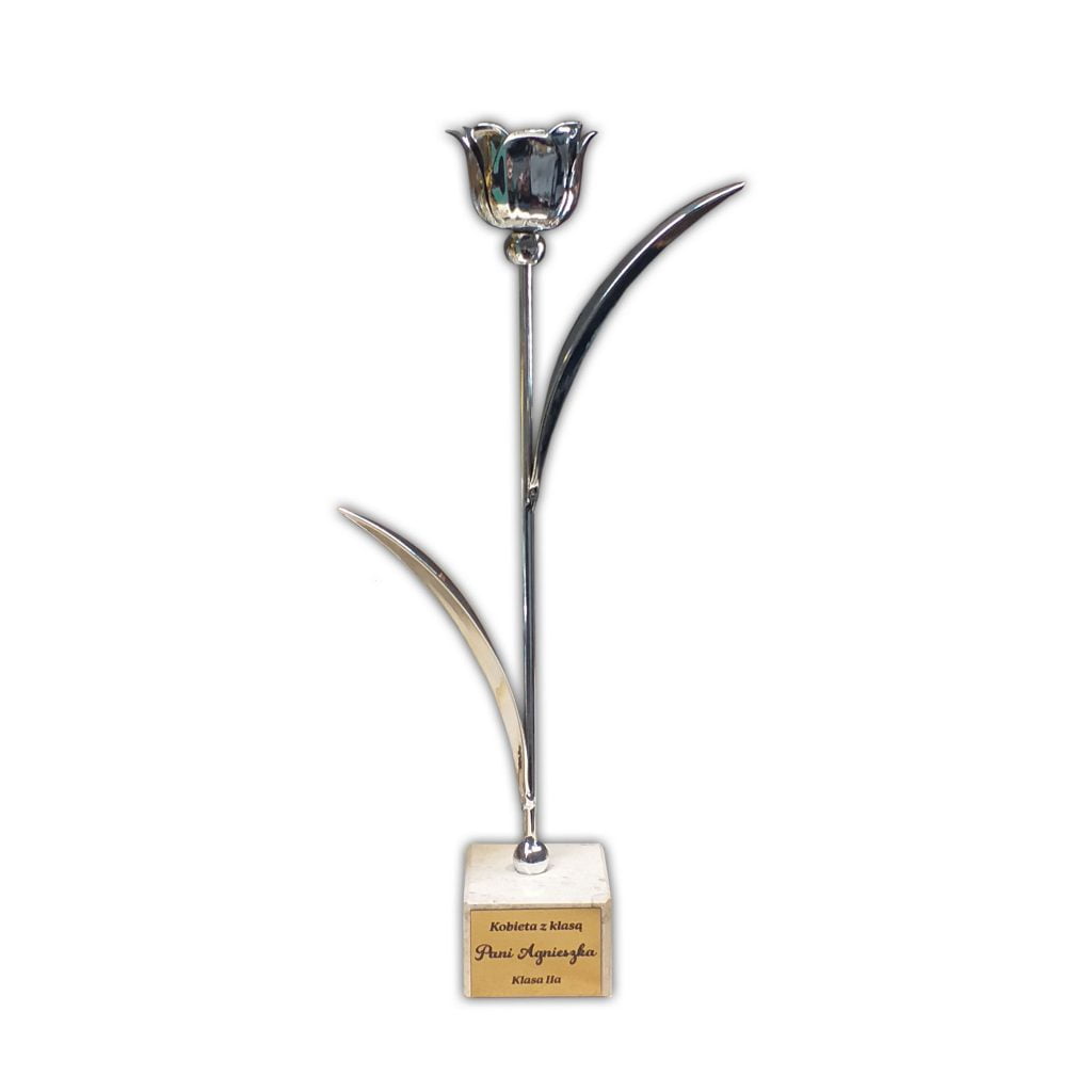 Statuetka dla Nauczyciela Tulipan MD3